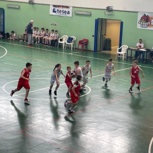 Basket Lodi - PM Sport