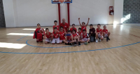 PM Sport - Basket Lodi